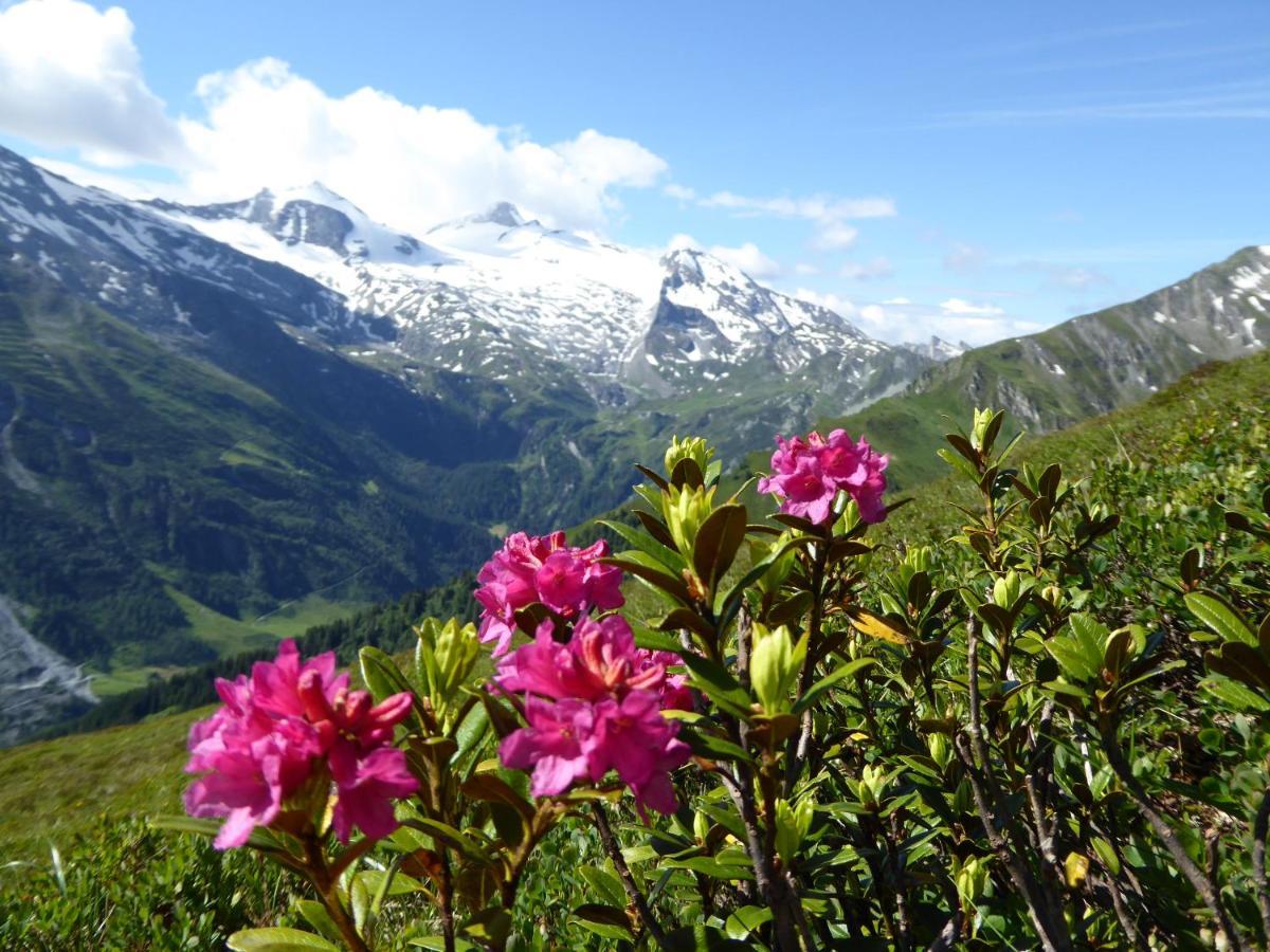 דירות Alpenrose טוקס מראה חיצוני תמונה